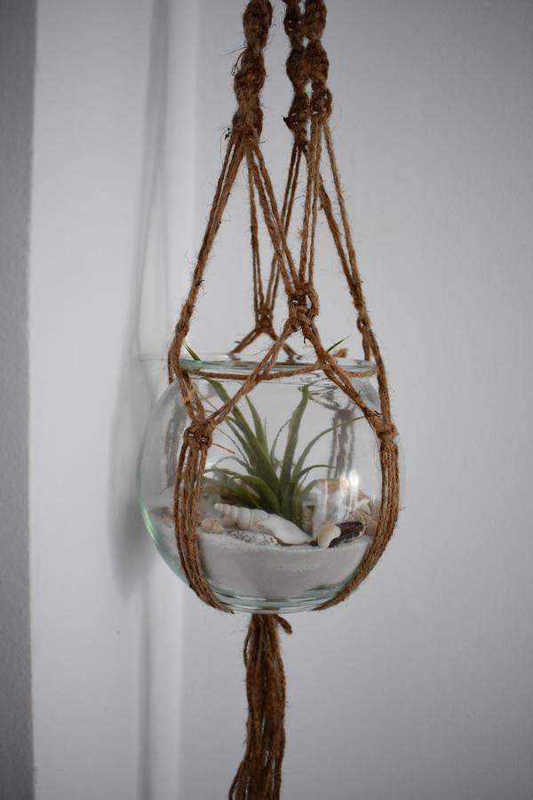 Apartamento Estudio