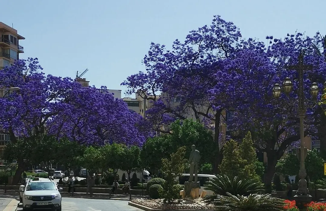 Encantador bajo en Málaga-1