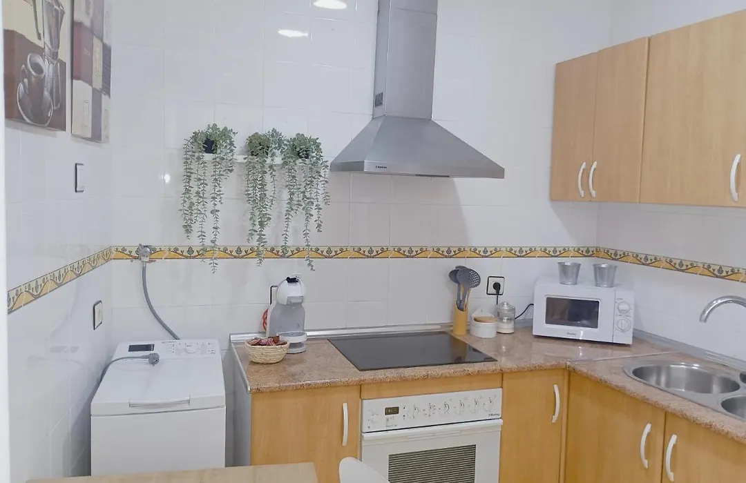 Vacational Homes South Organic-1