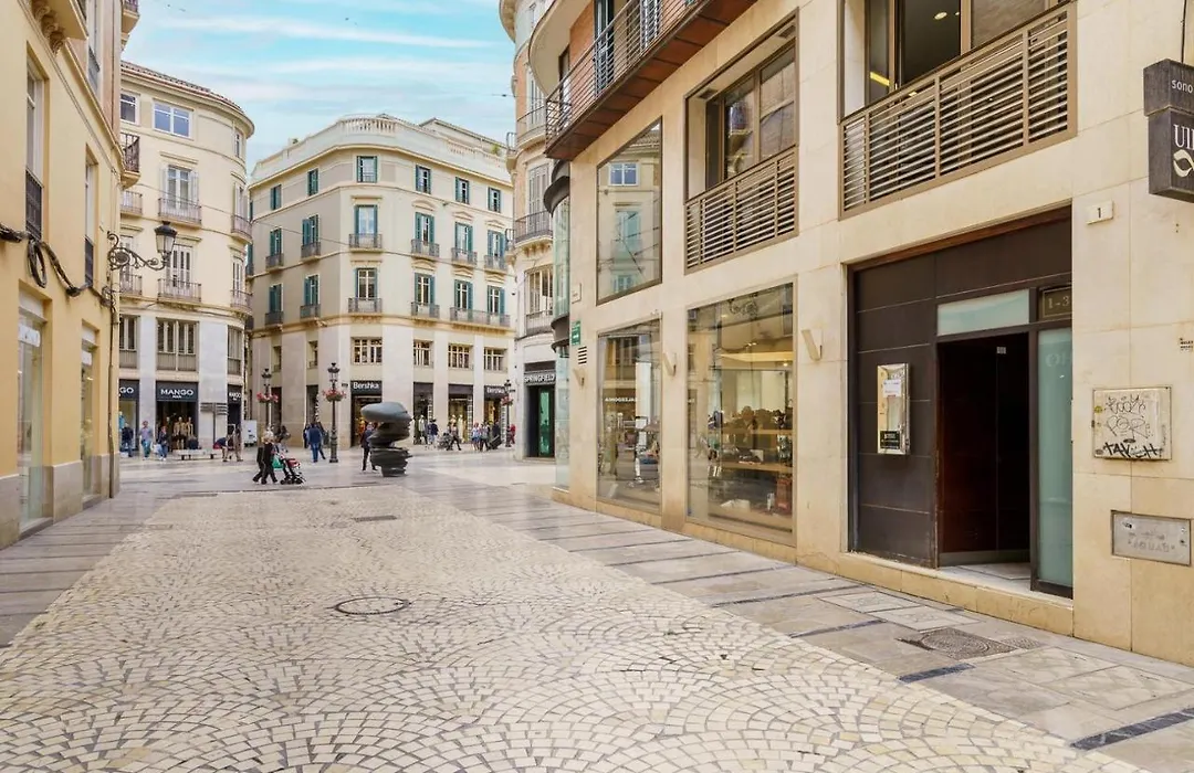 Apartamento Moderno Calle Larios-1