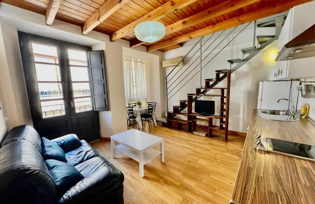 Luxury Duplex Malaga Center-1