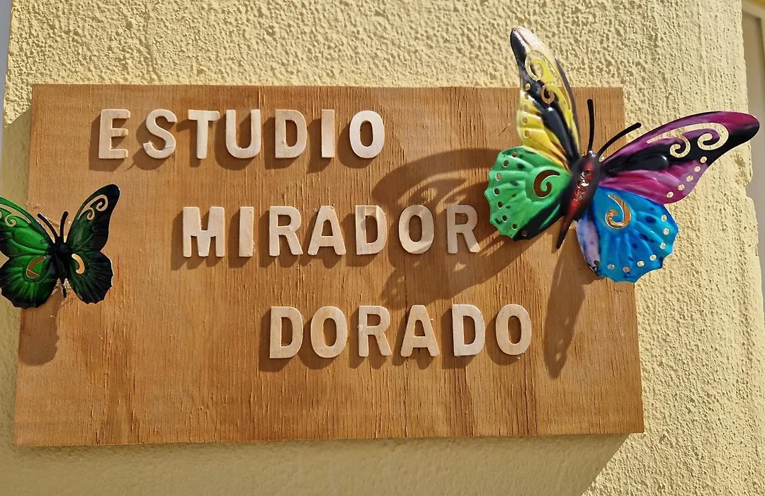 Estudio Mirador Dorado-1