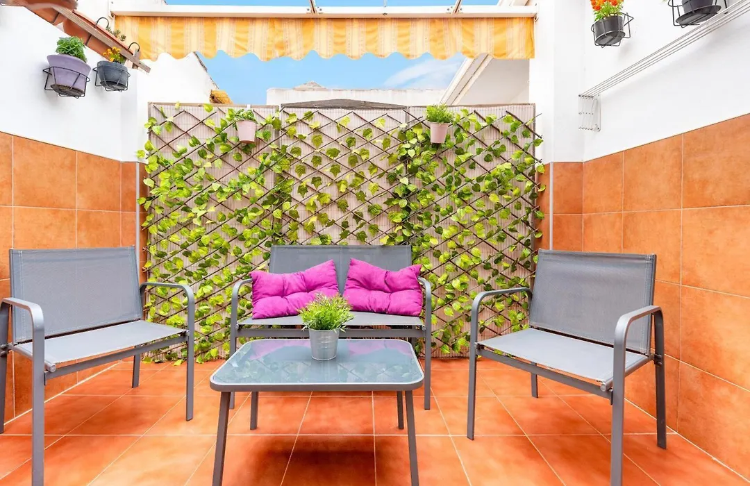 Holidays2Malaga Carril Penthouse Terrace-1