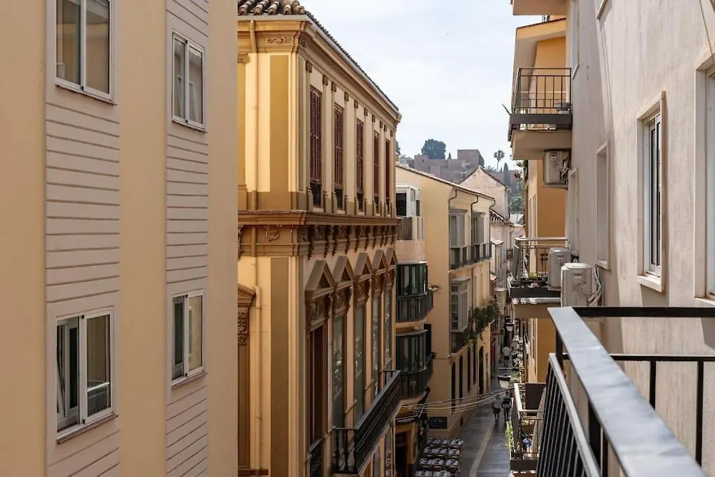 Super Central Malaga Flat With Terrace And Free Parking-1