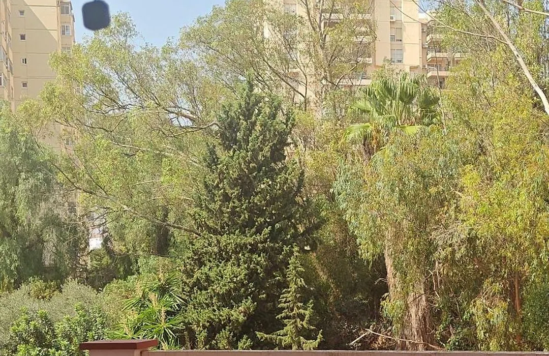 LLEGAMOS A CASA Málaga apartamento-1