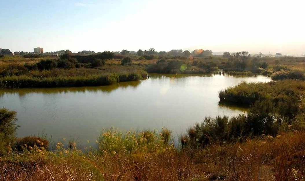 GUADALMARINA - Playa, Naturaleza y Ciudad-1