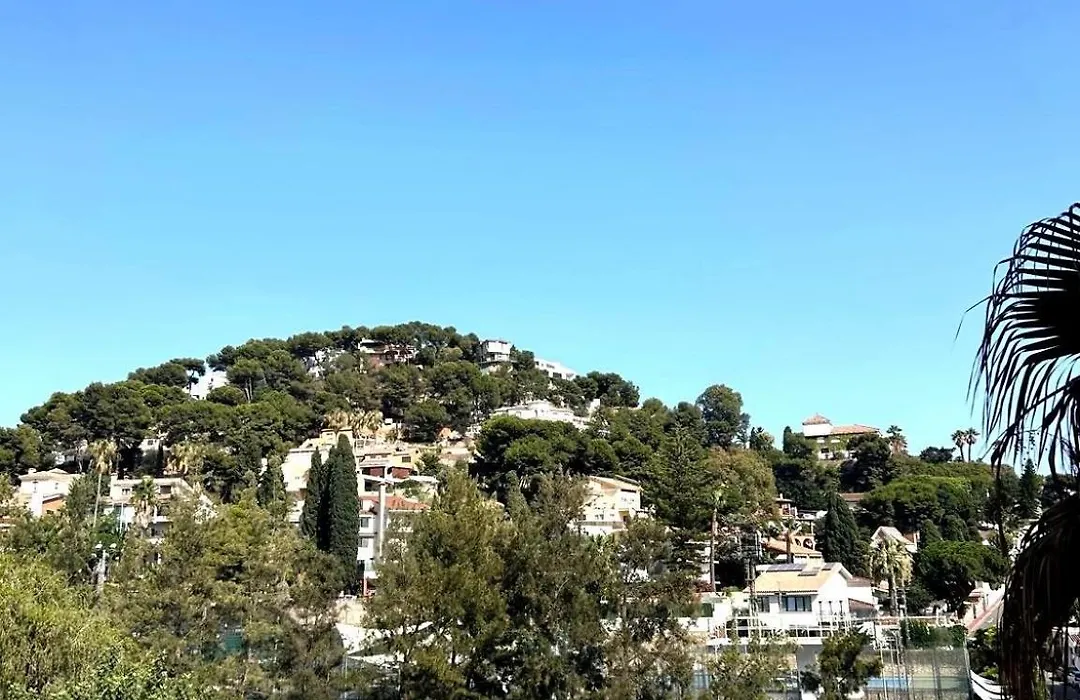 Apartamento don Carlos-1