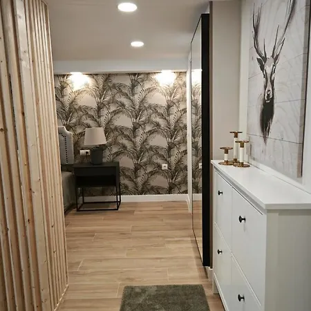 Studio Sevilla Suites Málaga-2