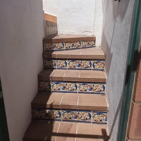 Ascent At Alora-3