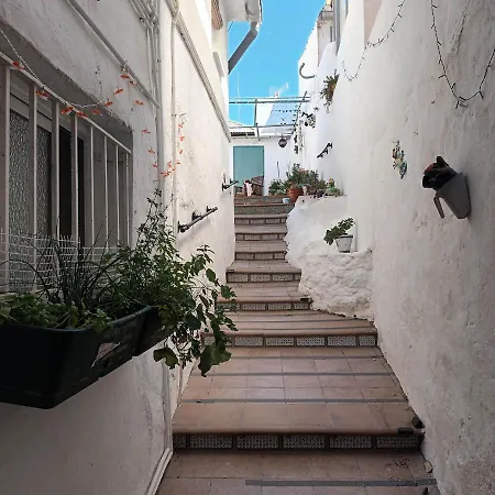 Ascent At Alora-2