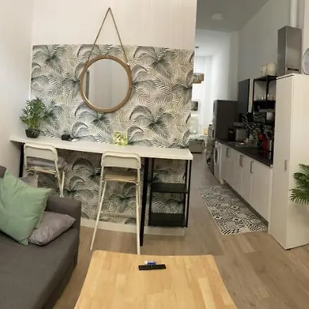 Estudio el Palo-2
