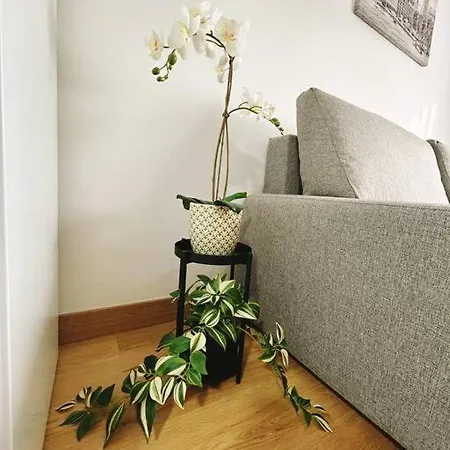 Apartment In The Heart Of Malaga-3