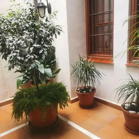 Attico luxury SuiteMálaga-2