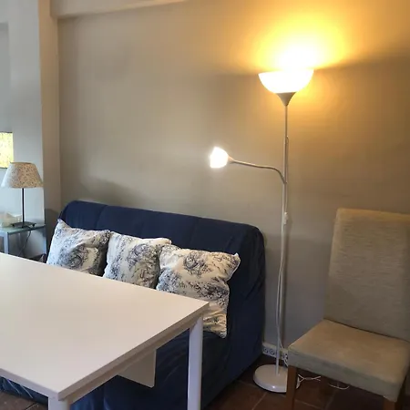 Beautiful Studio In Balneario Beach-2