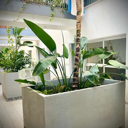 Apartamento Marmol-3