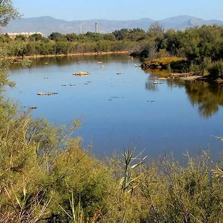 GUADALMARINA - Playa, Naturaleza y Ciudad-3