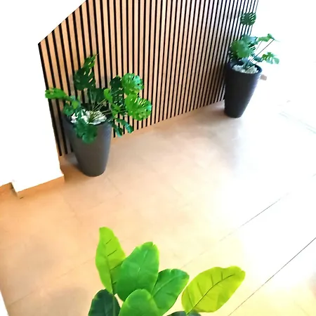 Apartamentos larios-3