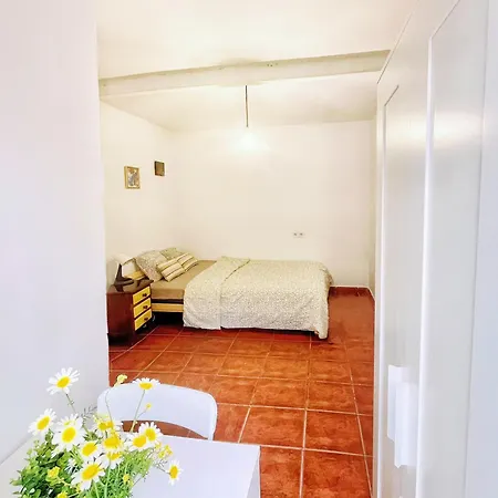 Centro Málaga-Casa del Limón-3