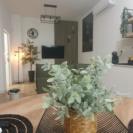 Barberito Dream Studio-2