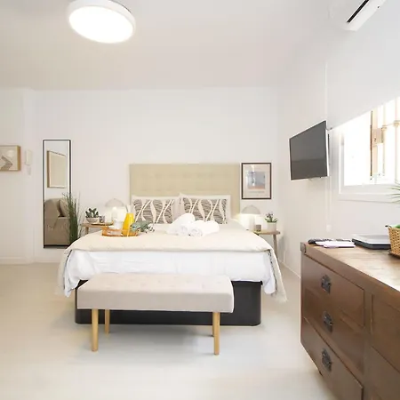 Del Parque Flats Suite Malagueta-2