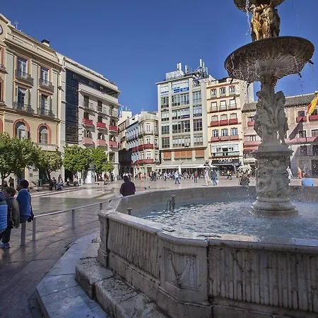 INMálaga Constitución-3