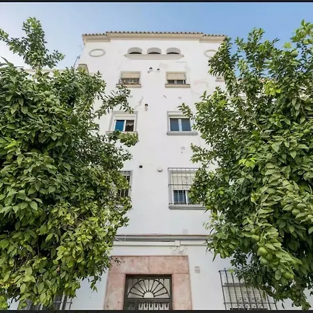 Apartamento Milagros 110 M2-2