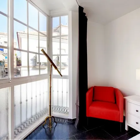 Spacious centre apartment in Málaga-2