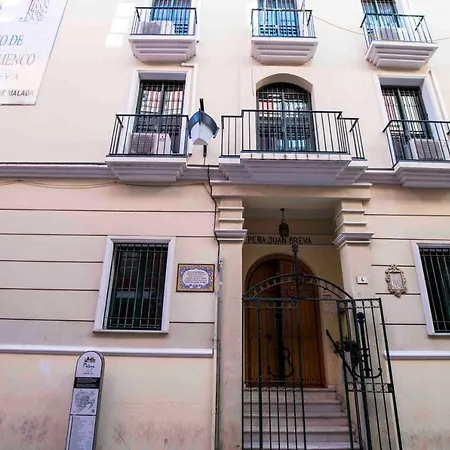 Málaga Céntrico Picasso-2