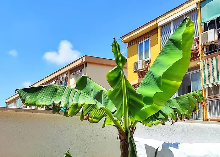 Manuela Nogales Apartments! Málaga