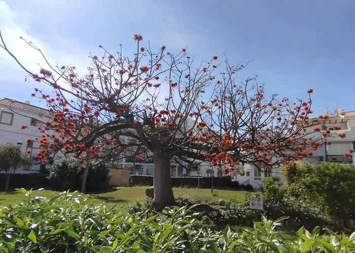 Apartamento Amanecer Laguna Beach Torrox costa Málaga