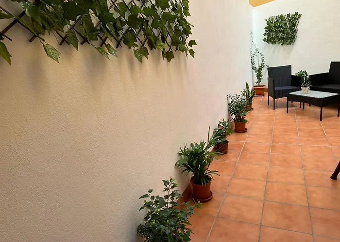 Relaxing Suite With Lovely Patio Málaga