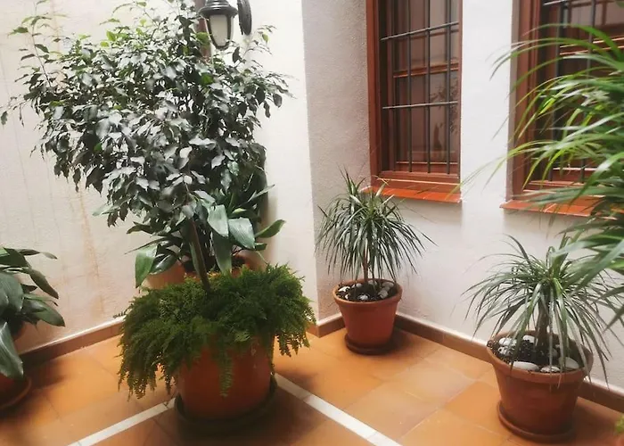 Attico luxury SuiteMálaga