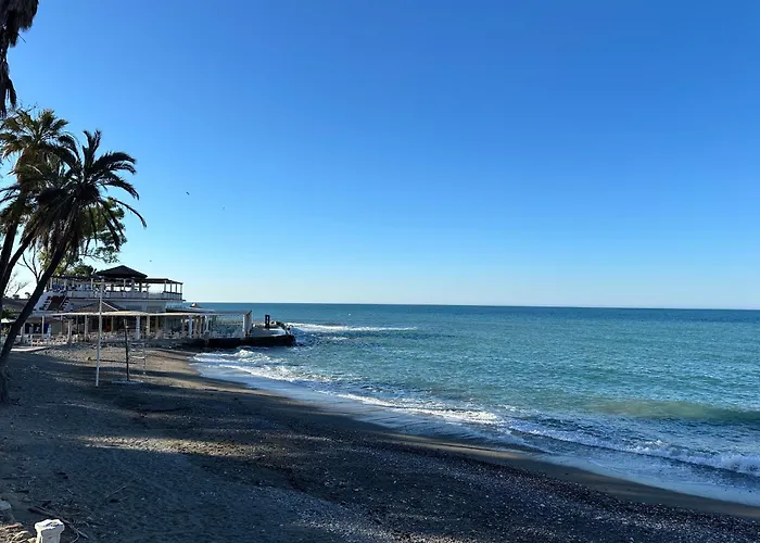 Villa Flor Málaga