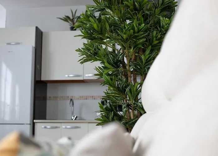 Apartamento Trinidad Aparment Málaga