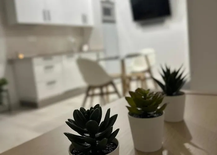 Apartamento Loft coqueto cerca de la playa Málaga