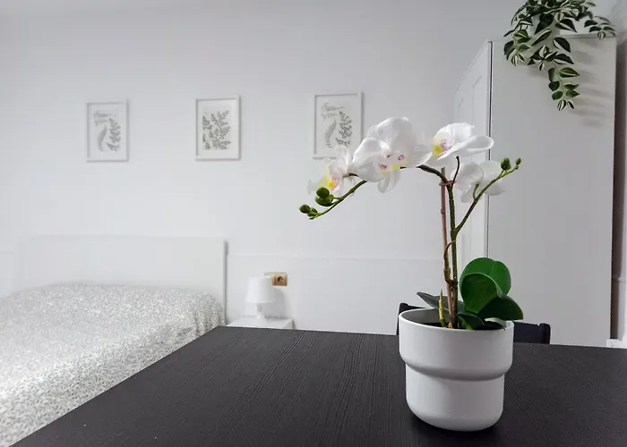 Hermoso Estudio Centro de Málaga