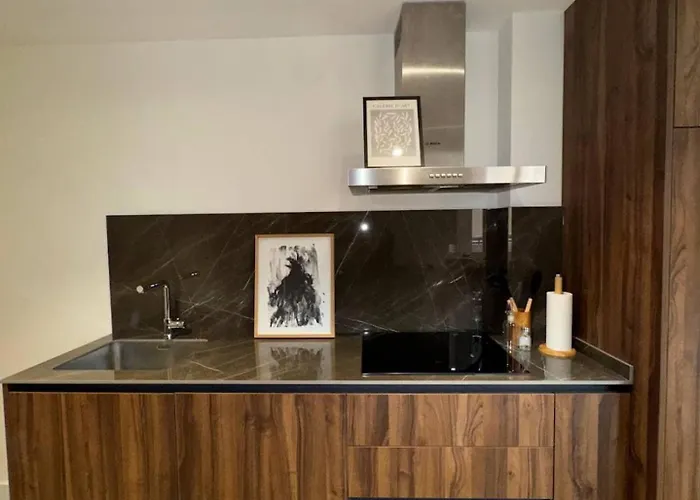Apartamento con Terraza Soho Centro Málaga