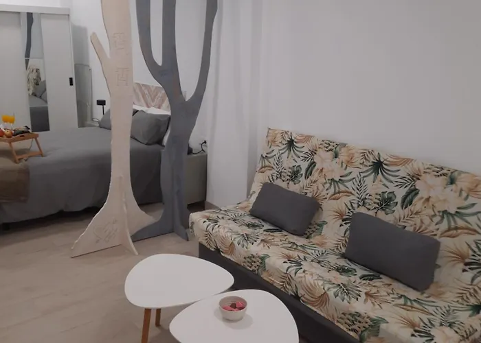 Estudios Olivia II Málaga