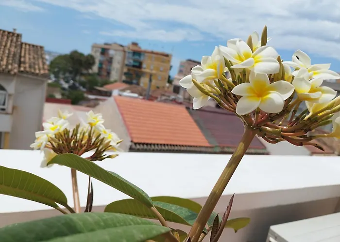 Apartamento Plumaria Málaga