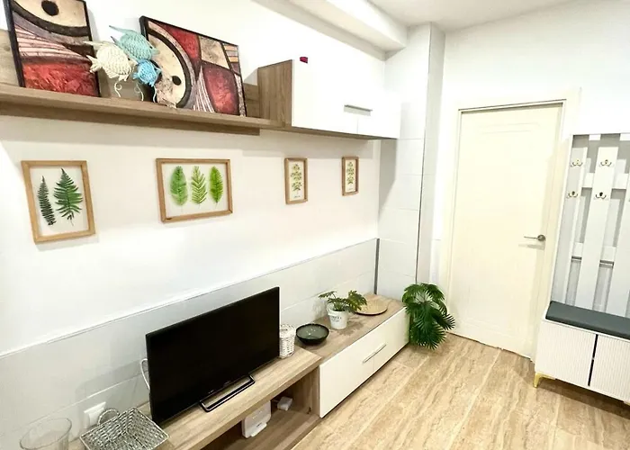 Rosaleda Centro Apartamento Málaga