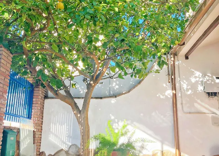 Apartamento Centro Málaga-Casa del Limón