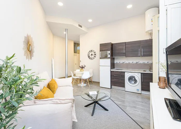 Apartamentos Calle Larios Málaga