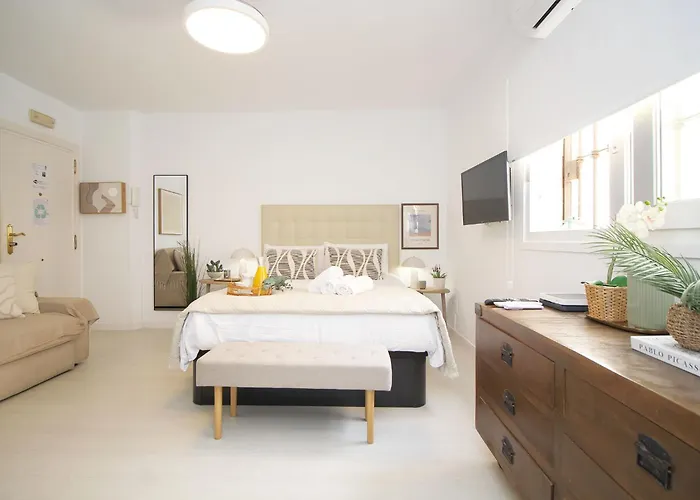 Del Parque Flats Suite Malagueta Málaga