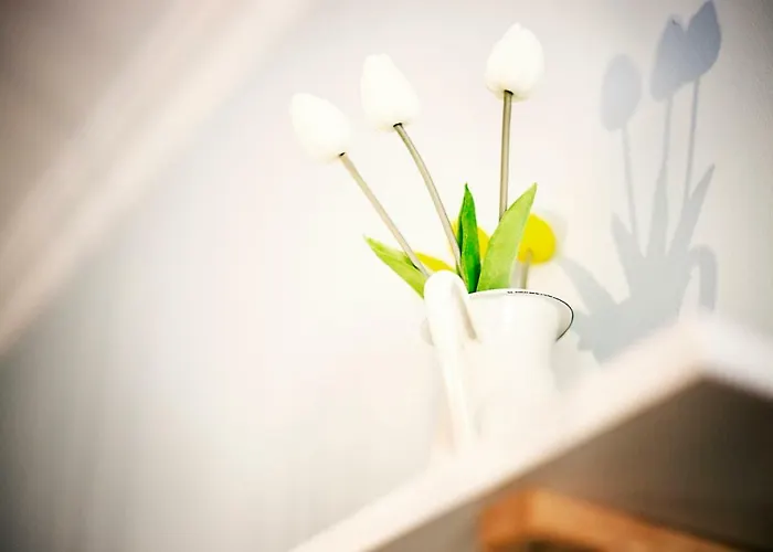 HI Suite Málaga Centro