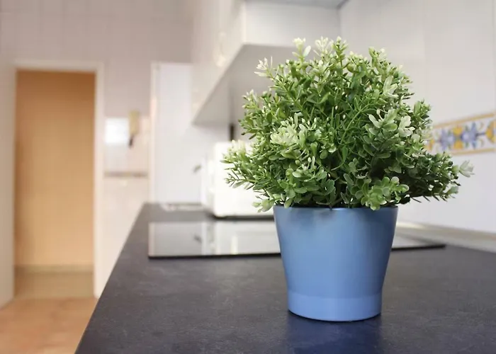 Apartamento Renovado y muy cerca del centro urbano Málaga